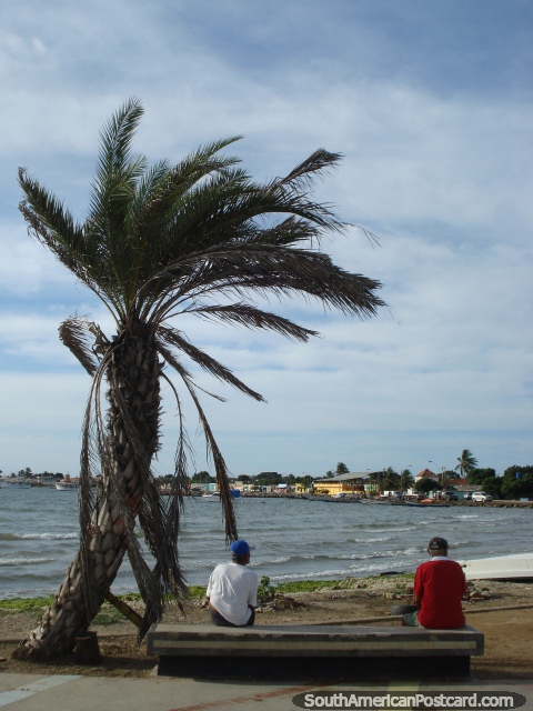 2 men sit on a bench under a palm tree in the morning at Boca de Rio on Isla Margarita. (480x640px). Venezuela, South America.