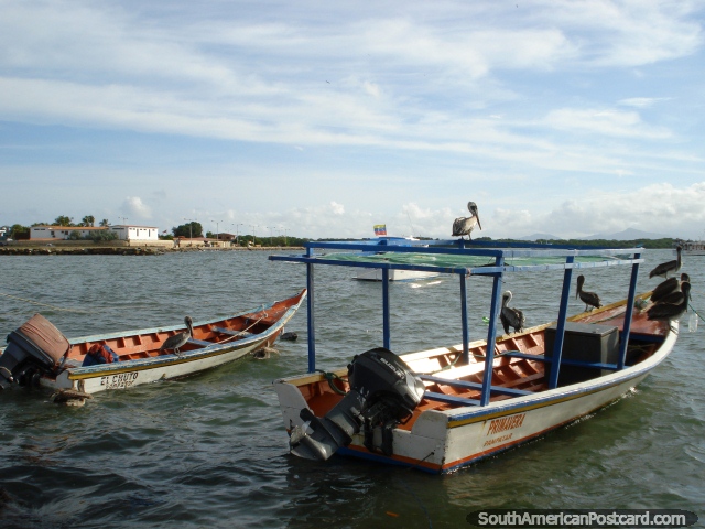 Barcos de pesca e pelicanos em Boca de Rio em Ilha Margarita. (640x480px). Venezuela, América do Sul.