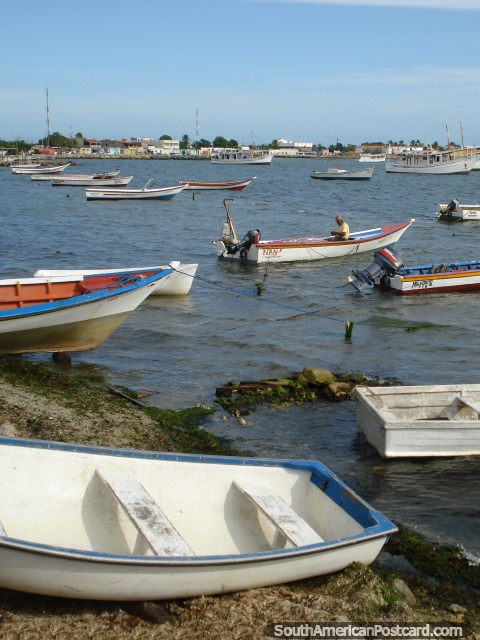 A baïa de pesca tranquila e muitos barcos de Boca de Rio, Ilha Margarita. (480x640px). Venezuela, América do Sul.