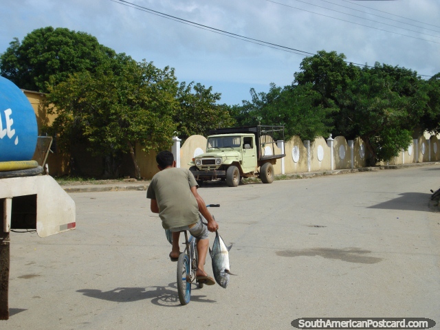 Boy rides home on bicycle with a fresh fish in hand in Robledal, Isla Margarita. (640x480px). Venezuela, South America.