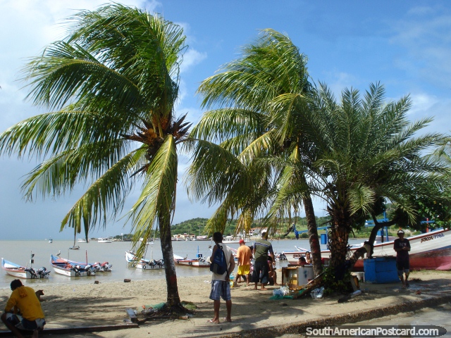 The fishing village end of Juan Griego beach with palm trees and boats, Isla Margarita. (640x480px). Venezuela, South America.