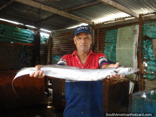 Man at fishing shed shows a long snake-like fish to me at Juan Griego, Isla Margarita. (640x480px). Venezuela, South America.