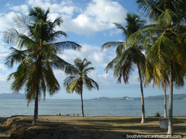 Praia e beira-mar com palmeiras em Porto la Cruz, vista para a ilha. (640x480px). Venezuela, América do Sul.