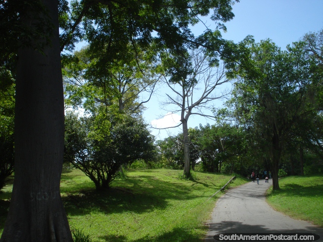Walking through Parque Cachamay in Ciudad Guayana along the paths to the zoo. (640x480px). Venezuela, South America.