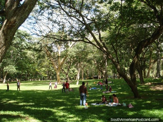 Área de piquenique na grama abaixo das rvores em Parque Cachamay, Cidade Guayana. (640x480px). Venezuela, Amrica do Sul.