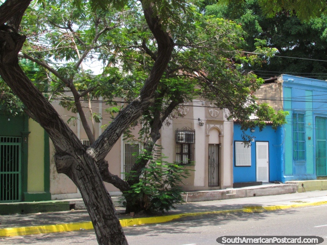 Uma linha de velhas casas abaixo de árvores em rua 93 em Maracaibo. (640x480px). Venezuela, América do Sul.