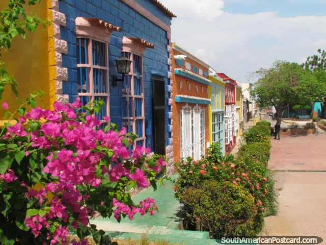 Flores e casas coloridas na vizinhança de Santa Lucia histórica de Maracaibo. (640x480px). Venezuela, América do Sul.