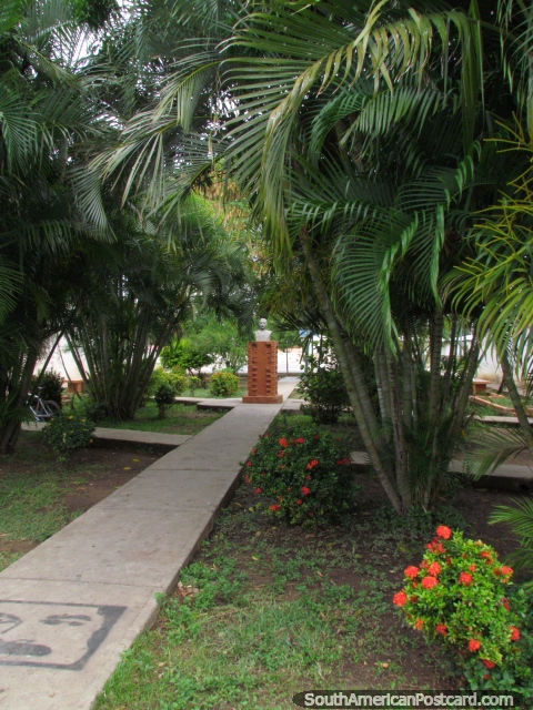 Park in the Torrellas neighbourhood in Carora. (480x640px). Venezuela, South America.