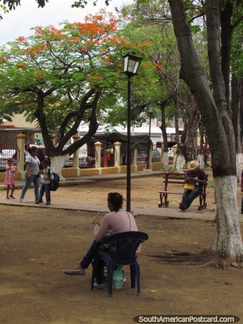 Plaza Chio, people relaxing under trees, Carora. (480x640px). Venezuela, South America.