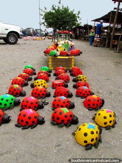 Overgrown ladybugs for sale in Quibor. (480x640px). Venezuela, South America.