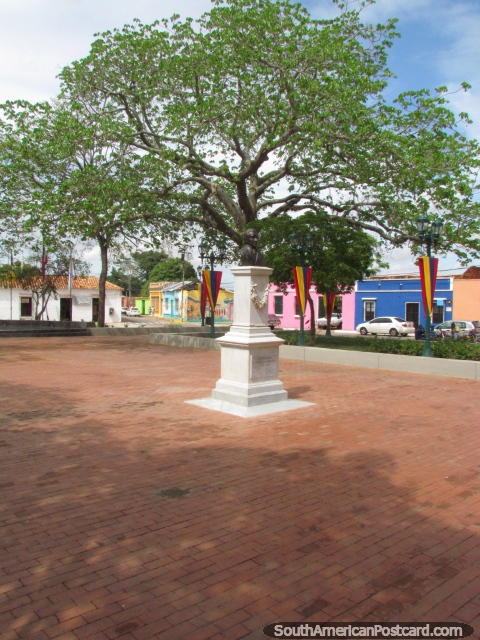 Praça Miranda, enorme árvore e espaço aberto, Cidade Bolivar. (480x640px). Venezuela, América do Sul.