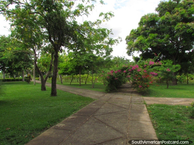 Os Jardins botânicos em Cidade Bolivar, esquina do norte/do oeste. (640x480px). Venezuela, América do Sul.
