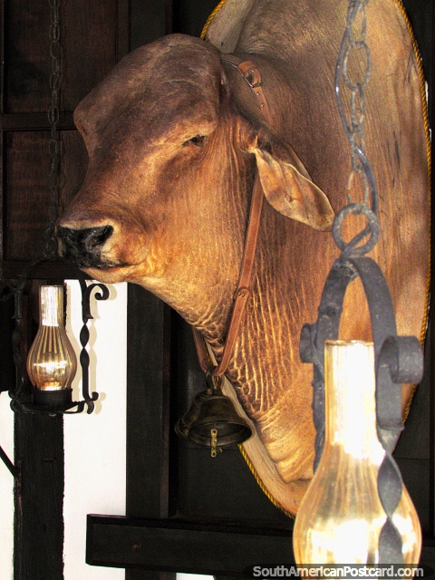 Uma cabeça de vacas montada e lanternas em um restaurante em Colônia Tovar. (480x640px). Venezuela, América do Sul.