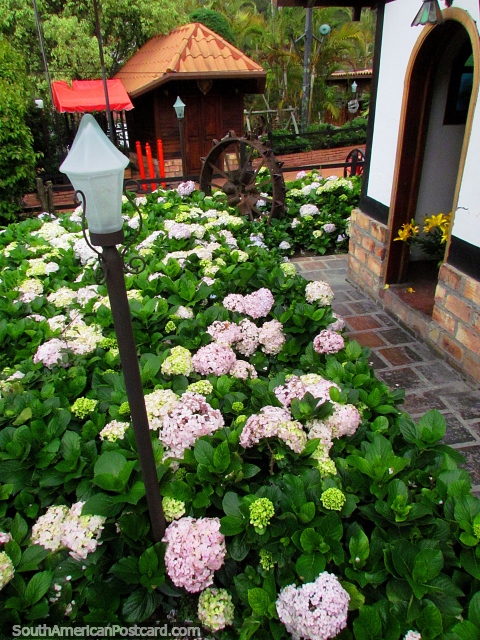 Jardines de flores agradables en hotel Kaiserstuhl en Colonia Tovar. (480x640px). Venezuela, Sudamerica.