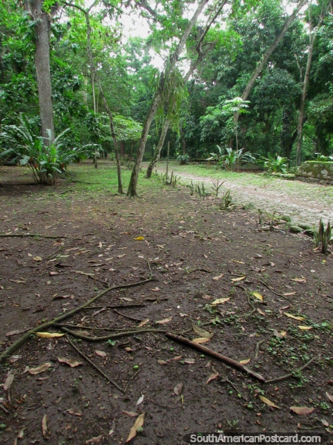 O parque coberto de vegetação em volta das ruïnas da velha cidade em San Felipe. (480x640px). Venezuela, América do Sul.