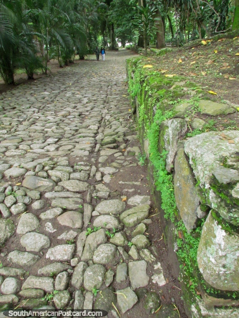 Walking the cobblestone paths of the old city of San Felipe. (480x640px). Venezuela, South America.