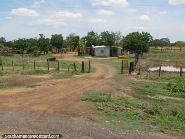 Country house surrounded by trees east of Maracaibo. (640x480px). Venezuela, South America.