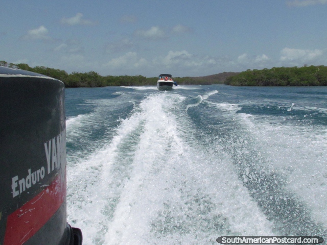 We power off at full speed to island Cajo Los Juanes at Morrocoy National Park. (640x480px). Venezuela, South America.