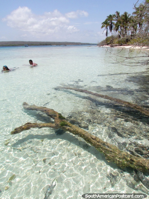Waters so clear you can see through it at Cajo Sombrero, Morrocoy National Park. (480x640px). Venezuela, South America.