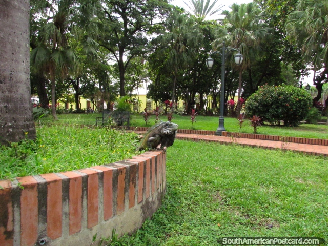 La iguana grande se sienta en medio de Plaza Bolivar en Barinas. (640x480px). Venezuela, Sudamerica.