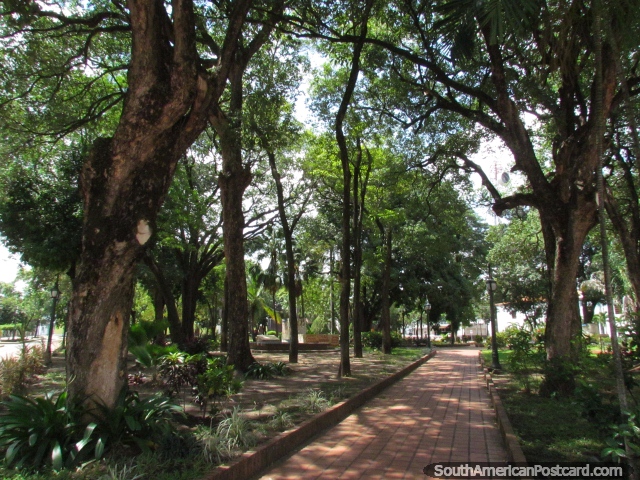 Cheio de árvores, Praça Bolivar em Barinas. (640x480px). Venezuela, América do Sul.