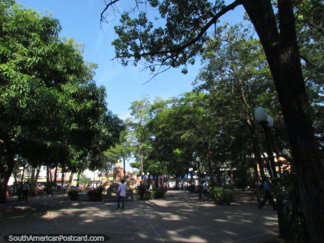 El Plaza El Estudiante en Barinas, árboles y sombra es el billete. (640x480px). Venezuela, Sudamerica.