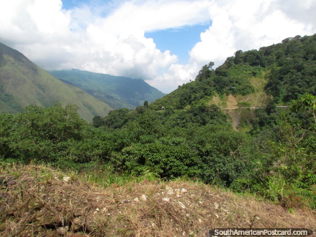 O caminho tece-se por e em volta de montanhas entre Barinitas e Santo Domingo. (640x480px). Venezuela, Amrica do Sul.