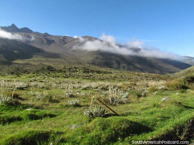 A nivel de la nube cerca de Apartaderos en las montaas. (640x480px). Venezuela, Sudamerica.