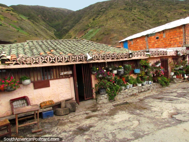 Garden of flower pots on a building side in San Rafael de Mucuchies. (640x480px). Venezuela, South America.