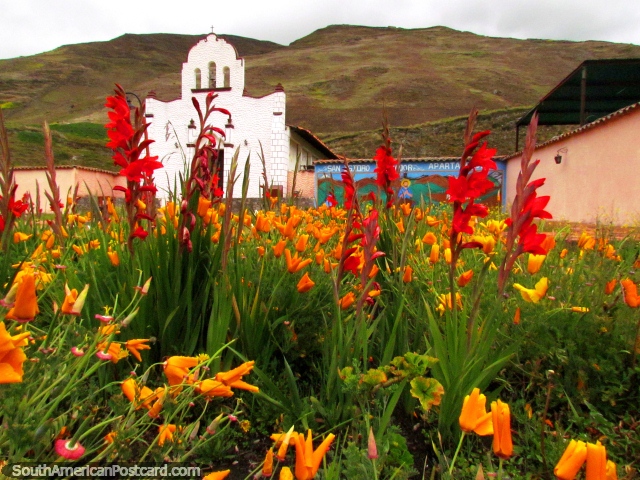 Jardim de flores vermelho e cor-de-laranja na praça pública em frente da igreja em San Isidro de Apartaderos. (640x480px). Venezuela, América do Sul.