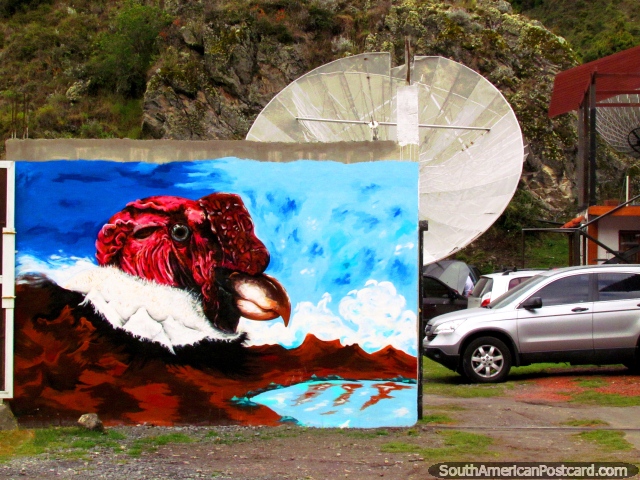 Pintura mural enorme de un pavo delante de un satélite en Biguznos/Pedregal. (640x480px). Venezuela, Sudamerica.